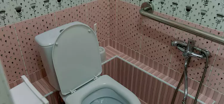 Meeting Diverse Needs With Accessible Restroom Solutions in South St. Paul, MN